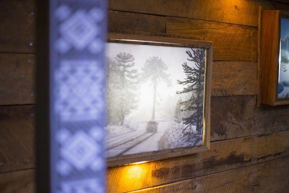 Newen B&B 푸콘 외부 사진